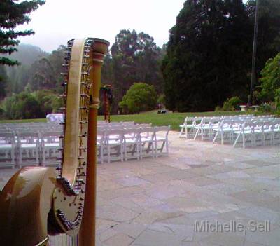  Area Wedding Venues on San Francisco Bay Area Harpist Michelle Sell    Brazilian Room