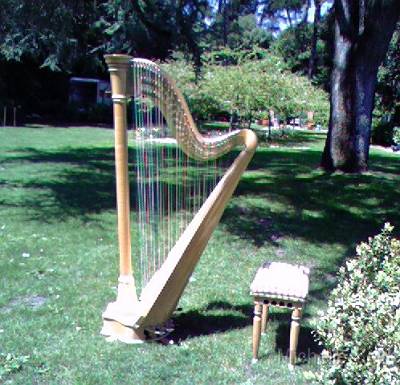 Center San Francisco Bay Area Harpist Michelle Sell Center