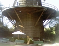 Queen Wilhelmina Tulip Garden and Windmill in Golden Gate Park