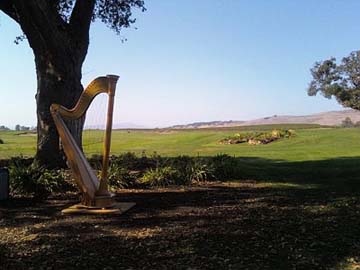 Wedding Harp Music!